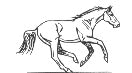 horse gif